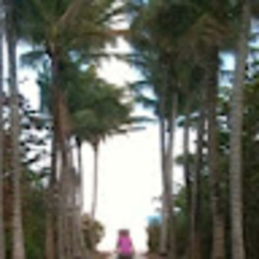 Meet your Posher, Tropic